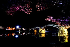 Kintai Bridge night view with Cherry Blossoms