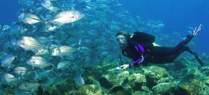 Diving in the Marshall Islands